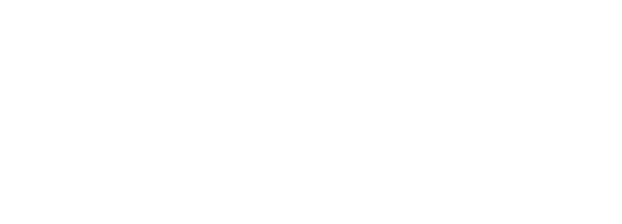 Fundación Luz |  Autonomía e inclusión para personas ceguera y bajo visión